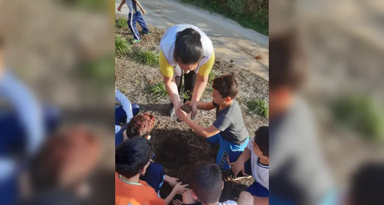 Ações dentro e fora da sala de aula contribuíram efetivamente para conscientização ambiental