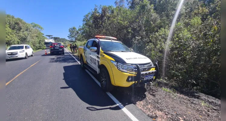 Homem é vítima de possível atropelamento entre PG e Palmeira