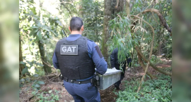 Situação aconteceu aos fundos da Câmara Municipal de Ponta Grossa.