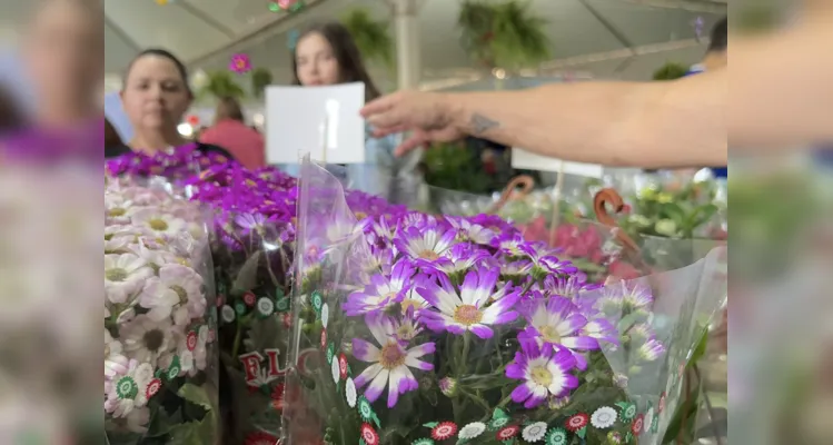 Toda renda arrecadada com a venda das flores e plantas serão destinados para as entidades assistenciais e sociais 