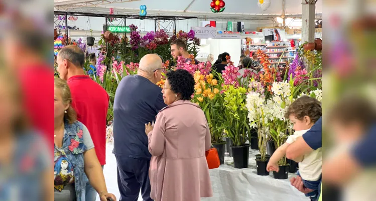 Para além da exposição de flores, foram realizadas diversas atividades para a comunidade