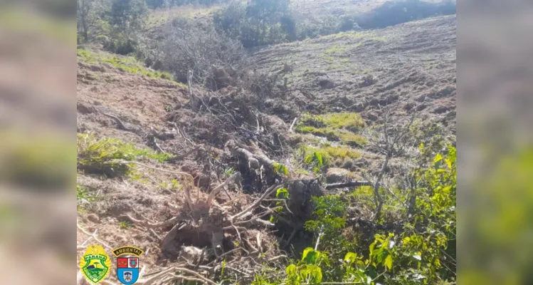 Conforme a polícia ambiental, área atingida foi superior a 7 hectares.