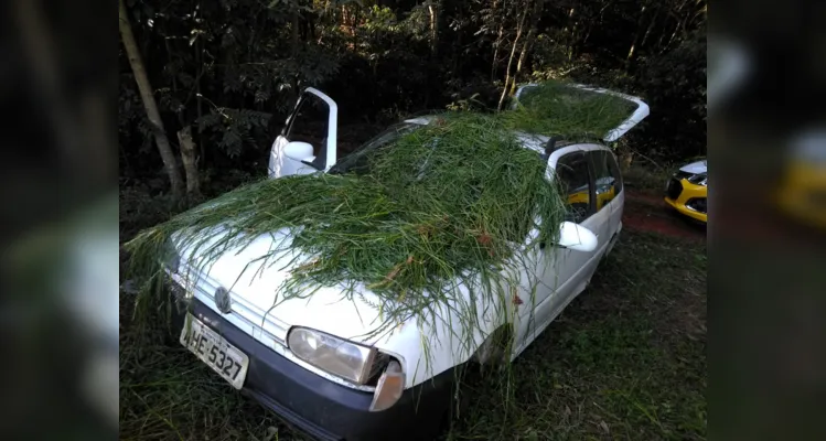 Veículo estava abandonado, sem os pneus e coberto de mato