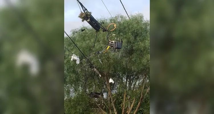 Fios acumulados em postes em ruas da Colônia Dona Luiza. 
