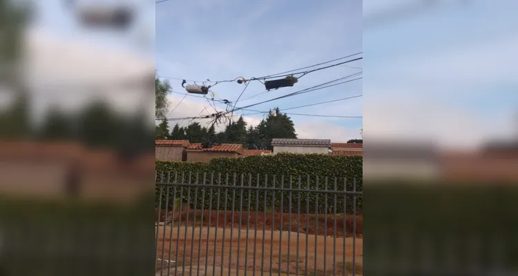 Os fios atrapalham a entrada da garagem da moradora Bernadete.