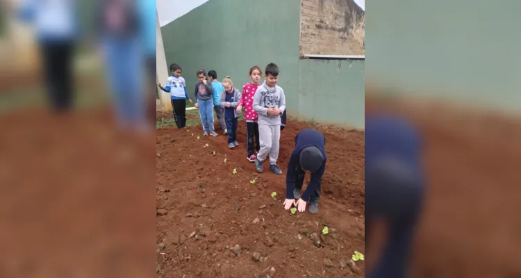 Educandos contribuíram efetivamente nos processos de plantio e cuidado da horta