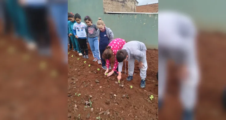 Educandos contribuíram efetivamente nos processos de plantio e cuidado da horta