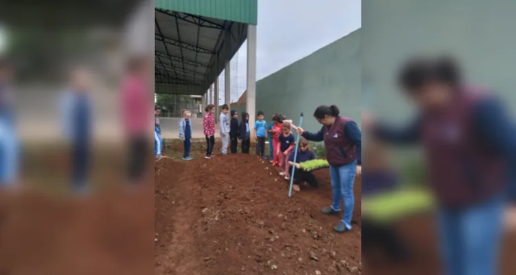 Educandos contribuíram efetivamente nos processos de plantio e cuidado da horta