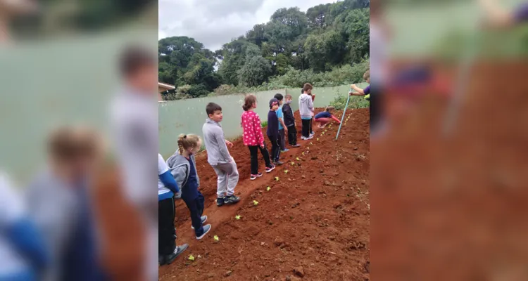 Educandos contribuíram efetivamente nos processos de plantio e cuidado da horta