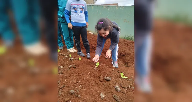 Educandos contribuíram efetivamente nos processos de plantio e cuidado da horta