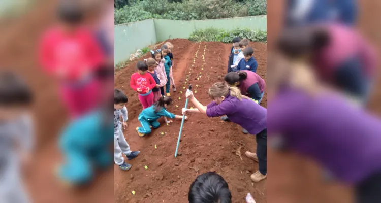 Educandos contribuíram efetivamente nos processos de plantio e cuidado da horta