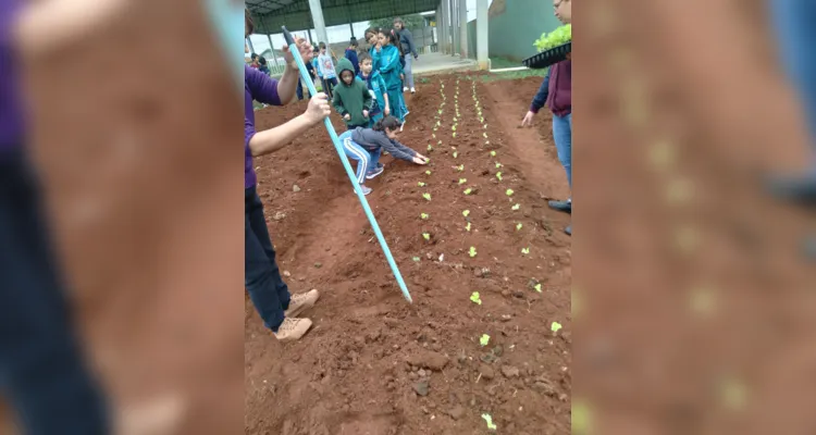 Educandos contribuíram efetivamente nos processos de plantio e cuidado da horta