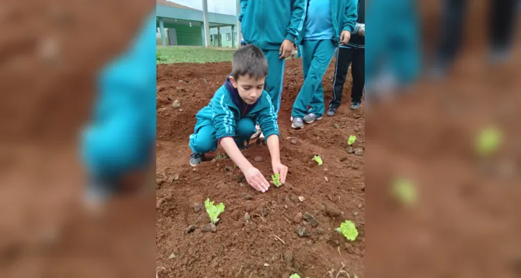 Educandos contribuíram efetivamente nos processos de plantio e cuidado da horta