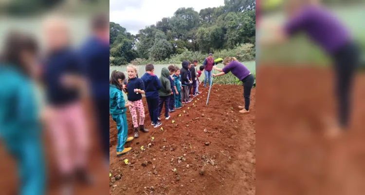 Educandos contribuíram efetivamente nos processos de plantio e cuidado da horta