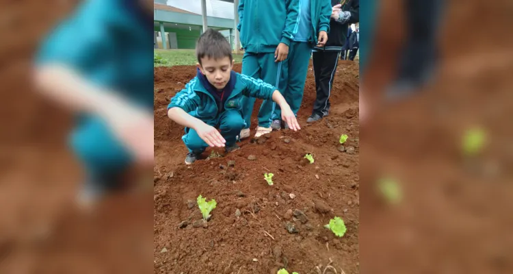 Educandos contribuíram efetivamente nos processos de plantio e cuidado da horta