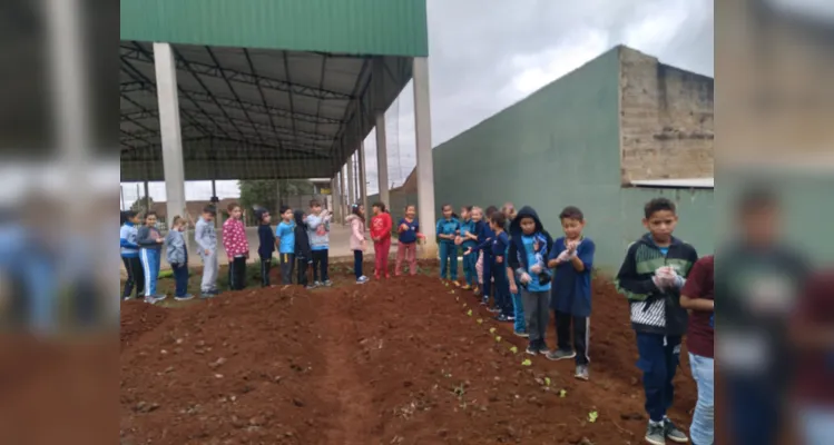 Educandos contribuíram efetivamente nos processos de plantio e cuidado da horta