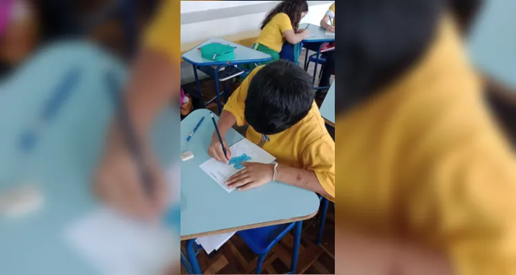 Os alunos realizaram pesquisas sobre as características da árvore e conheceram a lenda de origem da espécie