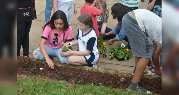 Estudantes foram os principais protagonistas de  melhoria do espaço ambiental da escola