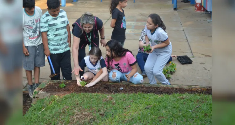 Estudantes foram os principais protagonistas de  melhoria do espaço ambiental da escola