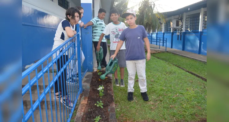 Estudantes foram os principais protagonistas de  melhoria do espaço ambiental da escola
