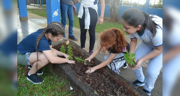 Estudantes foram os principais protagonistas de  melhoria do espaço ambiental da escola