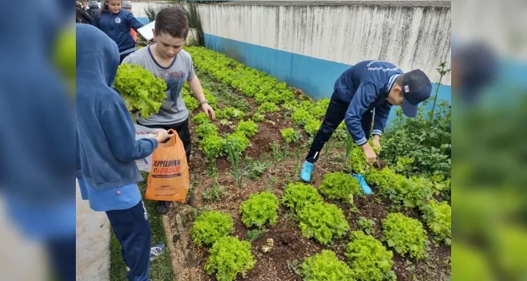 Ações, ao longo dos últimos meses, permitiram que educandos pudessem imergir nos conteúdos propostos