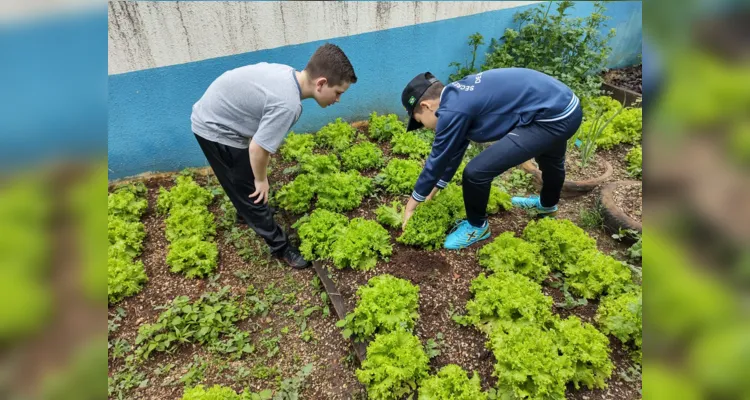 Ações, ao longo dos últimos meses, permitiram que educandos pudessem imergir nos conteúdos propostos