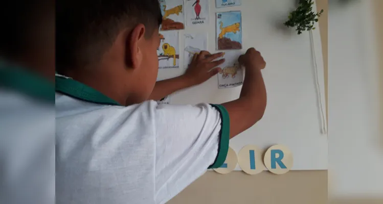 Trabalho teve grande prospecção em sala de aula