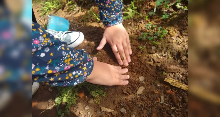 Durante as atividades, os alunos conseguiram acompanhar de forma prática o processo de desenvolvimento de uma planta 