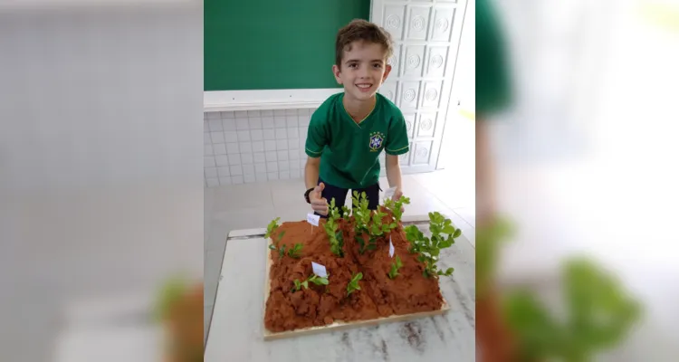 Trabalhos foram expostos para análise dos colegas e posteriormente para todos os alunos da escola