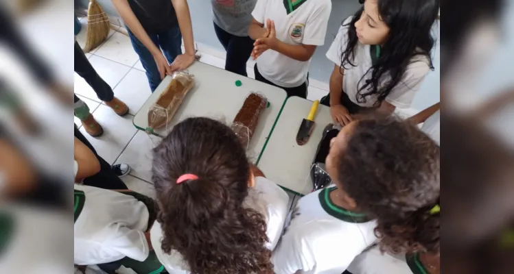 Professora destacou entusiasmo dos alunos, ótimas experiências e importância da videoaula para a dinâmica