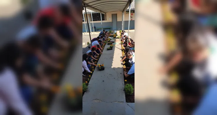 Trabalhos dentro e fora da sala de aula proporcionaram amplitude de conhecimento da turma