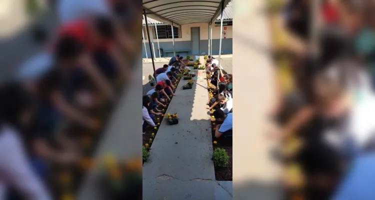 Trabalhos dentro e fora da sala de aula proporcionaram amplitude de conhecimento da turma