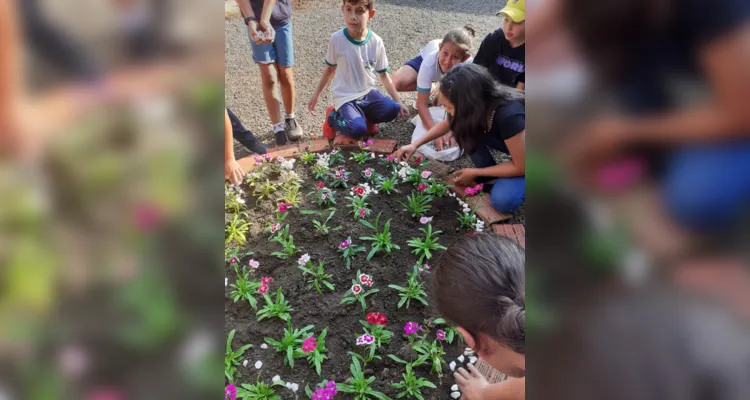 Trabalhos dentro e fora da sala de aula proporcionaram amplitude de conhecimento da turma