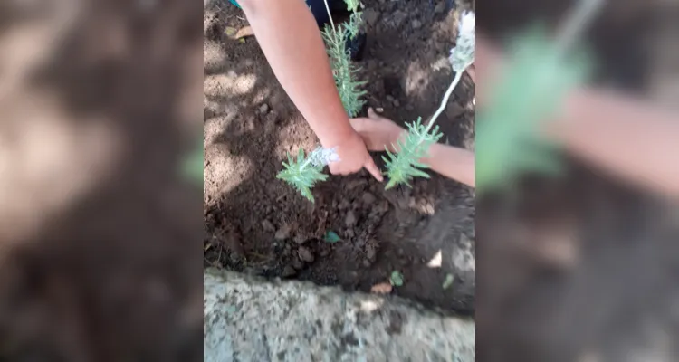 Trabalhos dentro e fora da sala de aula proporcionaram amplitude de conhecimento da turma