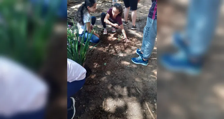 Trabalhos dentro e fora da sala de aula proporcionaram amplitude de conhecimento da turma