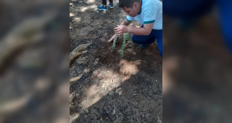 Trabalhos dentro e fora da sala de aula proporcionaram amplitude de conhecimento da turma