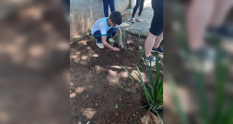 Trabalhos dentro e fora da sala de aula proporcionaram amplitude de conhecimento da turma