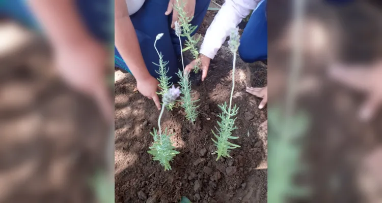 Trabalhos dentro e fora da sala de aula proporcionaram amplitude de conhecimento da turma