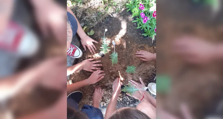 Trabalhos dentro e fora da sala de aula proporcionaram amplitude de conhecimento da turma