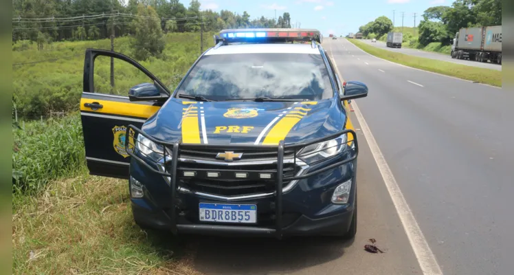 Equipe da Polícia Rodoviária Federal também foram acionados para o acidente.