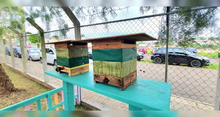Projeto leva colmeia de abelhas sem ferrões para escolas 