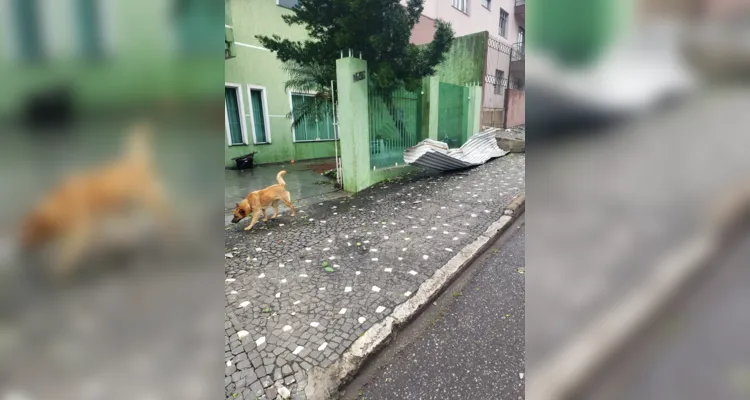 Na região central, próximo ao Cemitério Municipal, na rua Barão do Cerro Azul, o vento arrancou o muro de vidro de uma casa