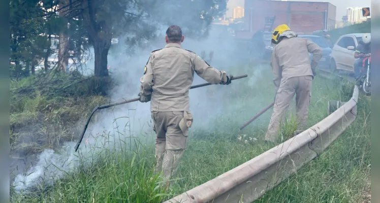 Incêndio próximo à rodovia de PG mobiliza equipe dos Bombeiros