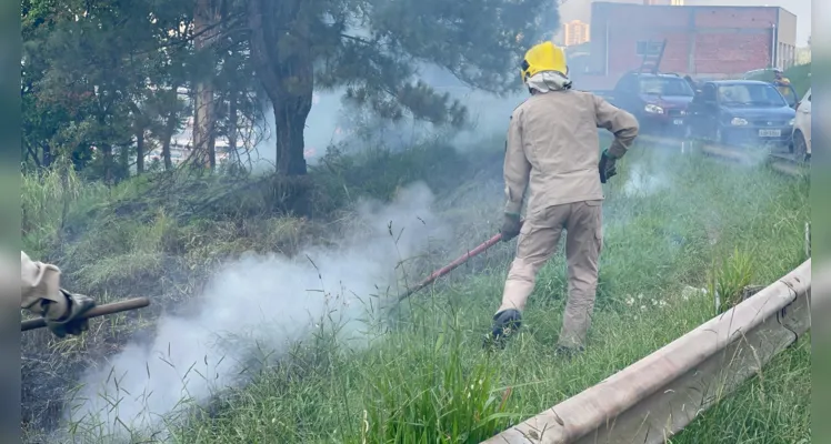 Incêndio próximo à rodovia de PG mobiliza equipe dos Bombeiros