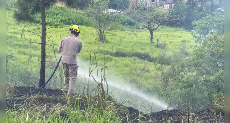 Incêndio próximo à rodovia de PG mobiliza equipe dos Bombeiros