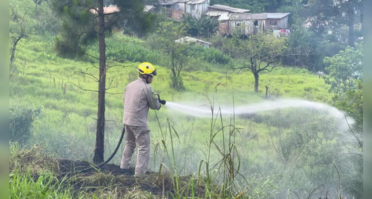 Incêndio próximo à rodovia de PG mobiliza equipe dos Bombeiros