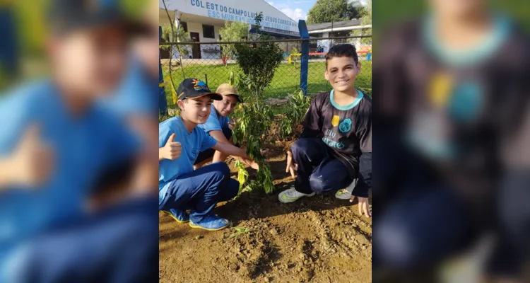 Os trabalhos envolveram os alunos e seus familiares na revitalização e nos cuidados dos espaços da escola