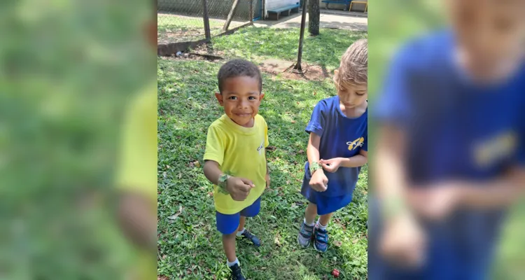 Com um passeio pela área da escola, as crianças realizaram a coleta de folhas e flores