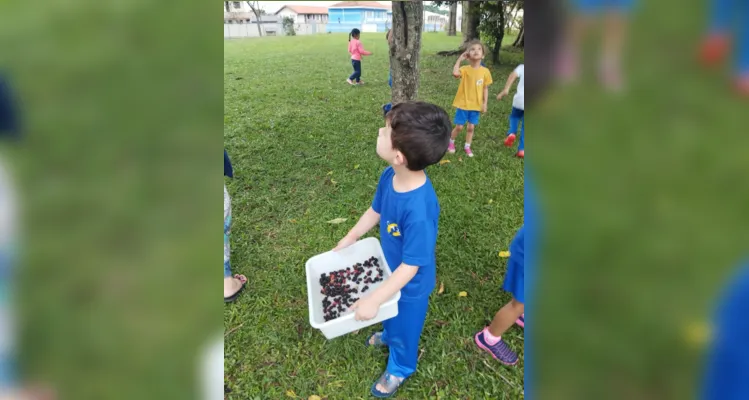 Com um passeio pela área da escola, as crianças realizaram a coleta de folhas e flores